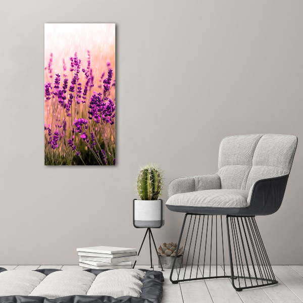 Print on acrylic Lavender field