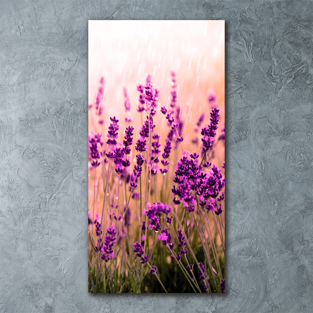 Print on acrylic Lavender field