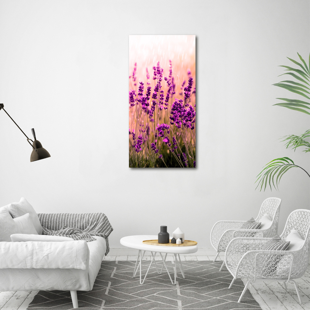 Print on acrylic Lavender field