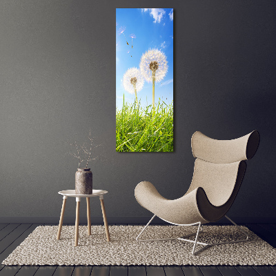 Print on acrylic Dandelion in the meadow