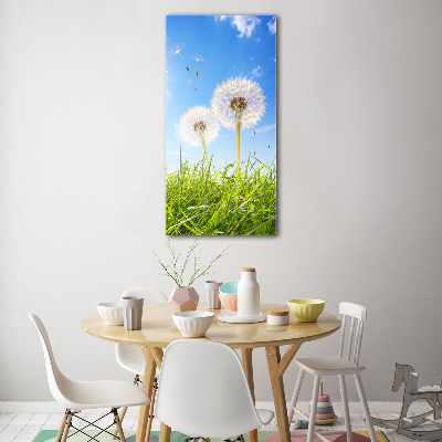 Print on acrylic Dandelion in the meadow