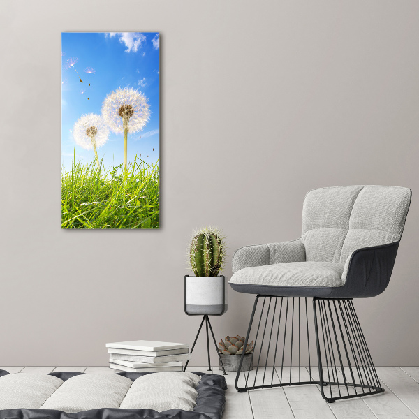 Print on acrylic Dandelion in the meadow