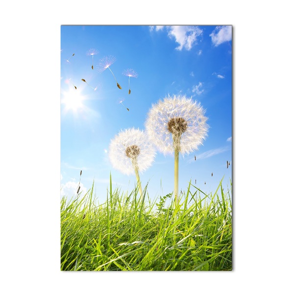 Print on acrylic Dandelion in the meadow