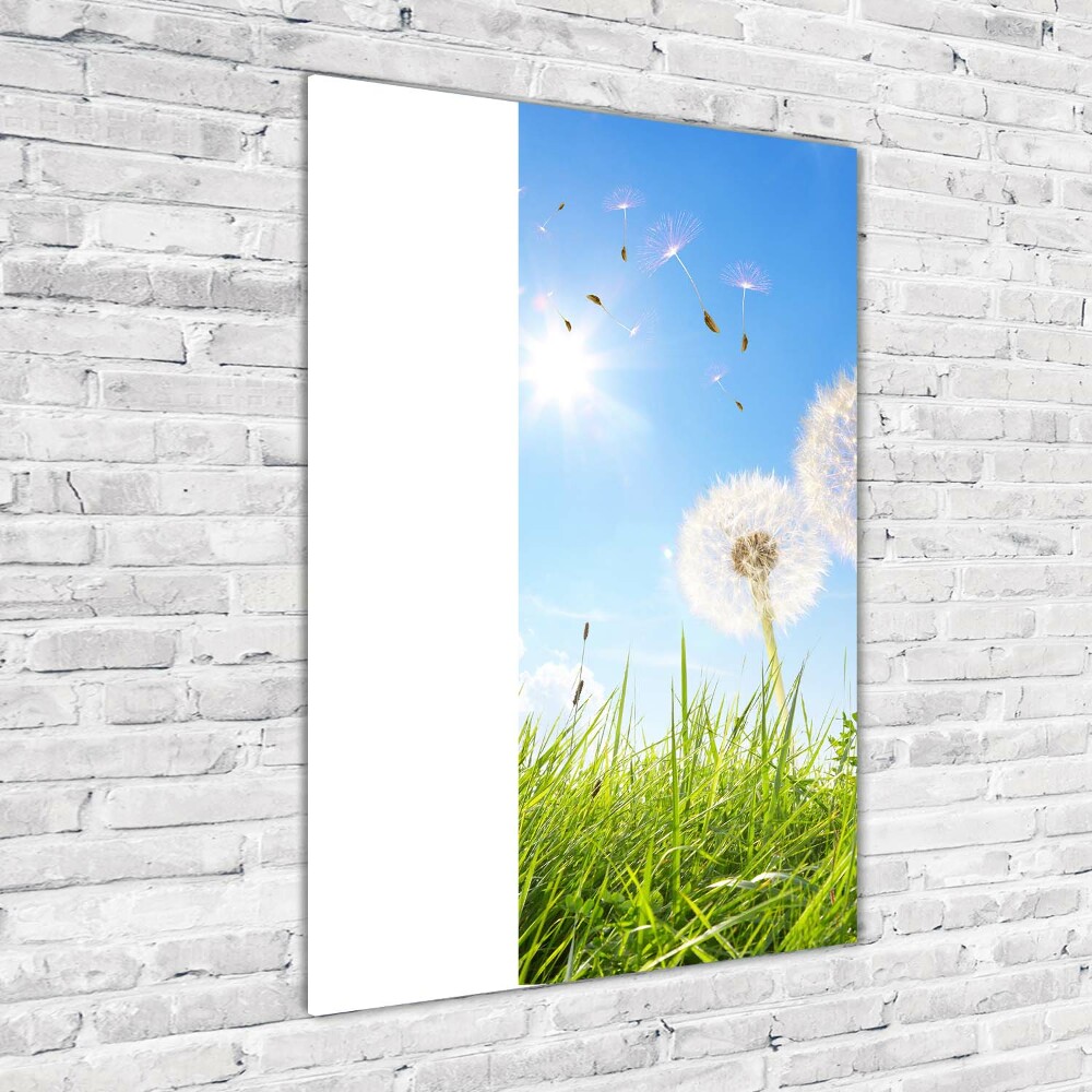 Print on acrylic Dandelion in the meadow