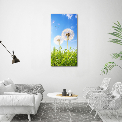 Print on acrylic Dandelion in the meadow