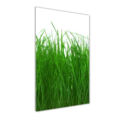 Print on acrylic Grass