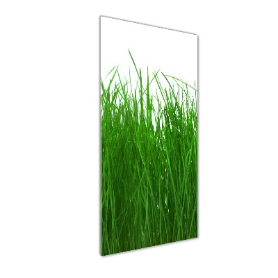 Print on acrylic Grass