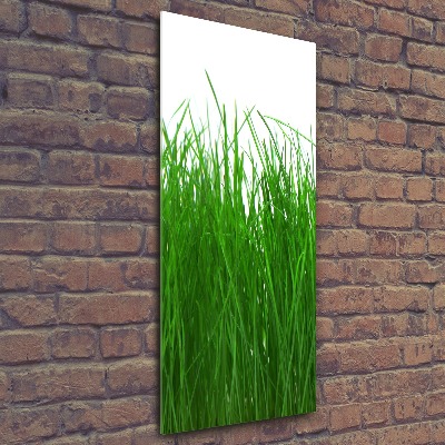 Print on acrylic Grass