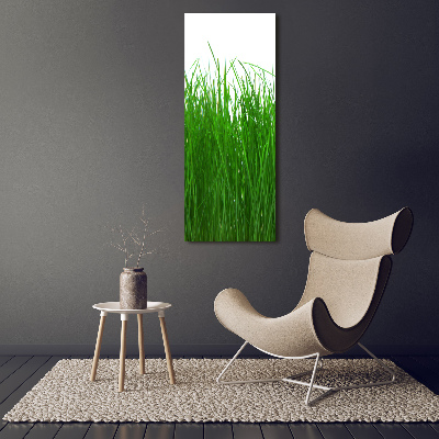 Print on acrylic Grass