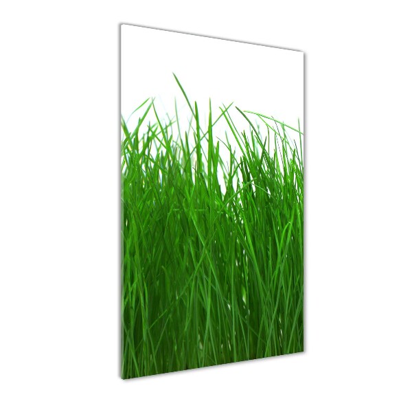 Print on acrylic Grass