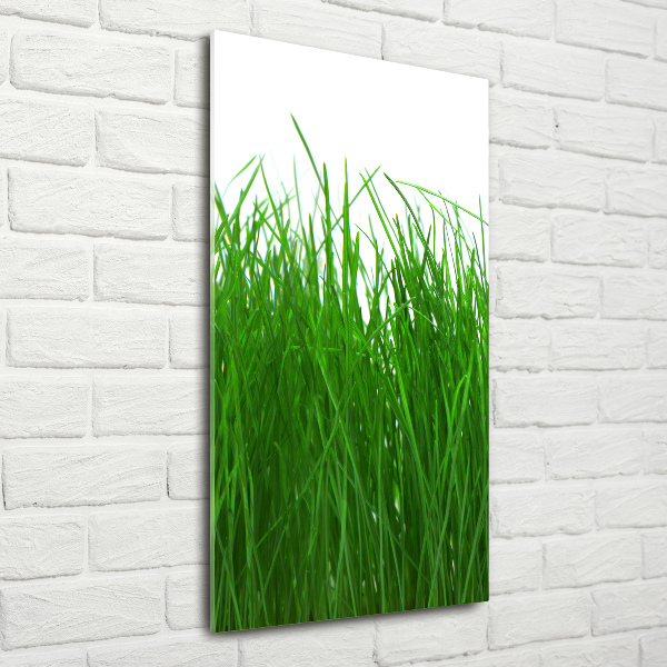 Print on acrylic Grass