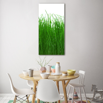 Print on acrylic Grass