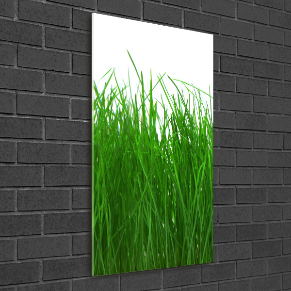 Print on acrylic Grass