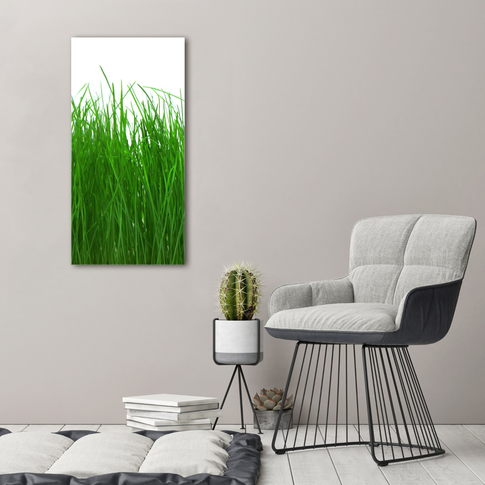 Print on acrylic Grass