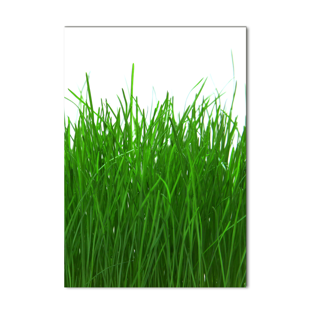 Print on acrylic Grass