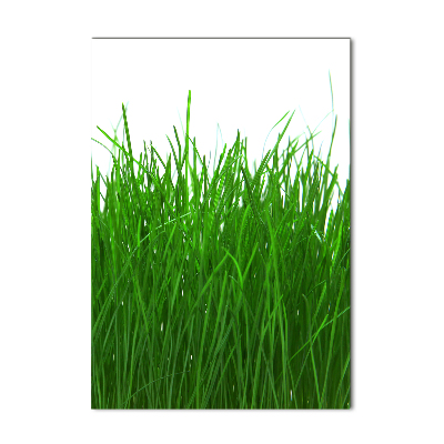 Print on acrylic Grass