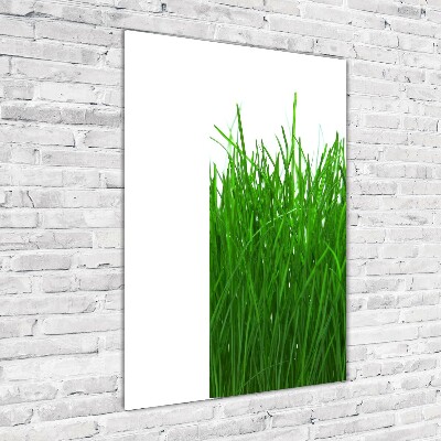 Print on acrylic Grass