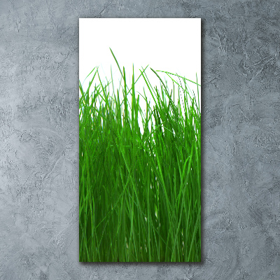 Print on acrylic Grass