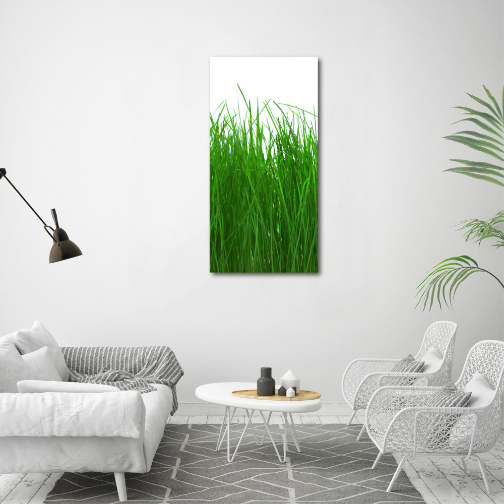 Print on acrylic Grass