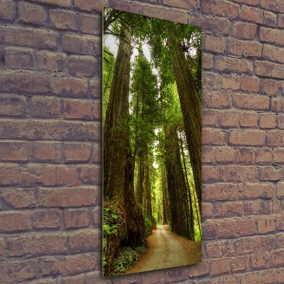 Acrylic wall art Path in the forest