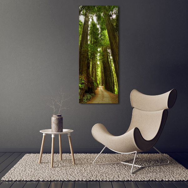 Acrylic wall art Path in the forest