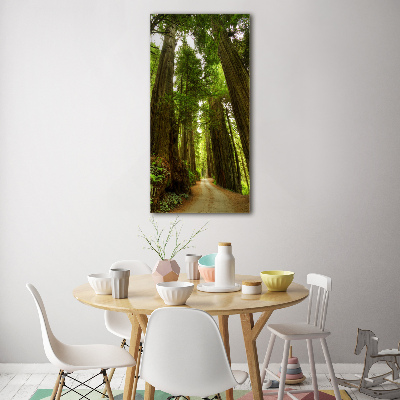 Acrylic wall art Path in the forest