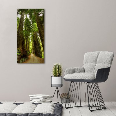 Acrylic wall art Path in the forest