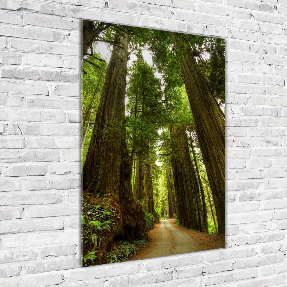 Acrylic wall art Path in the forest