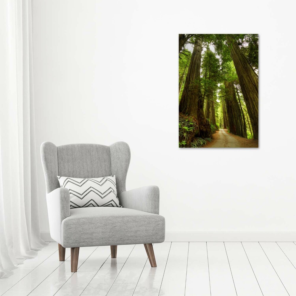 Acrylic wall art Path in the forest