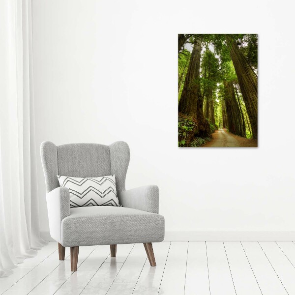 Acrylic wall art Path in the forest