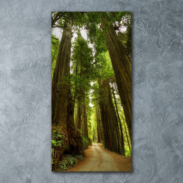 Acrylic wall art Path in the forest