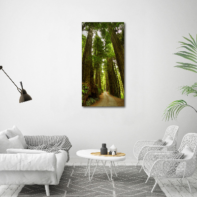 Acrylic wall art Path in the forest