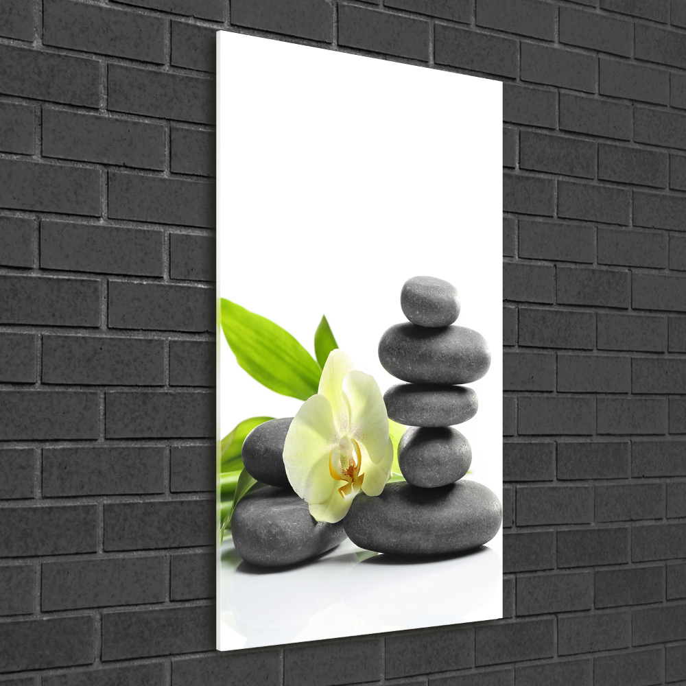 Print on acrylic Orchid and stones