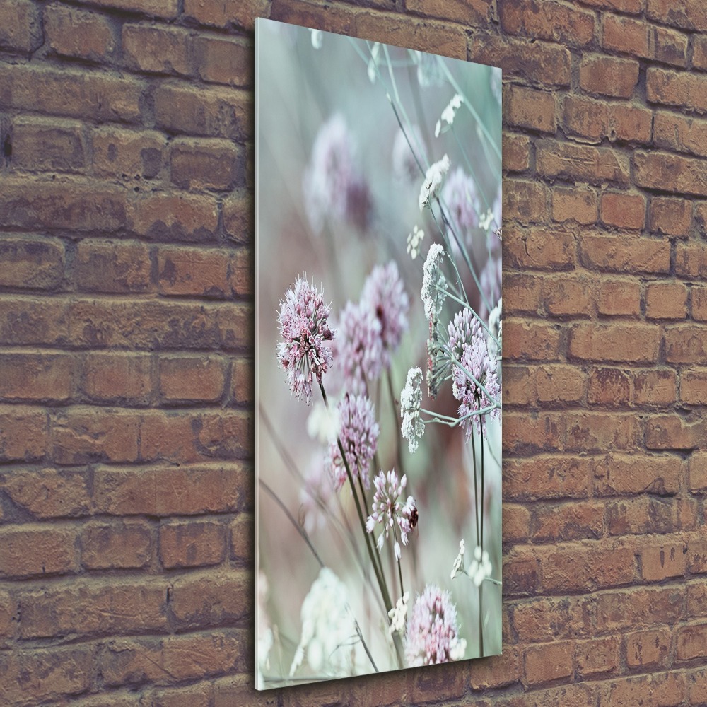 Print on acrylic Garlic flowers