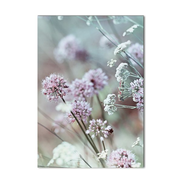 Print on acrylic Garlic flowers