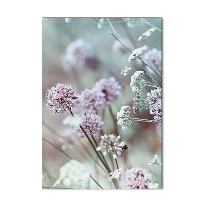 Print on acrylic Garlic flowers