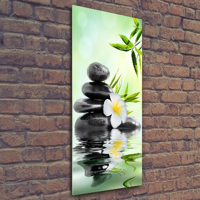 Wall art acrylic Bamboo