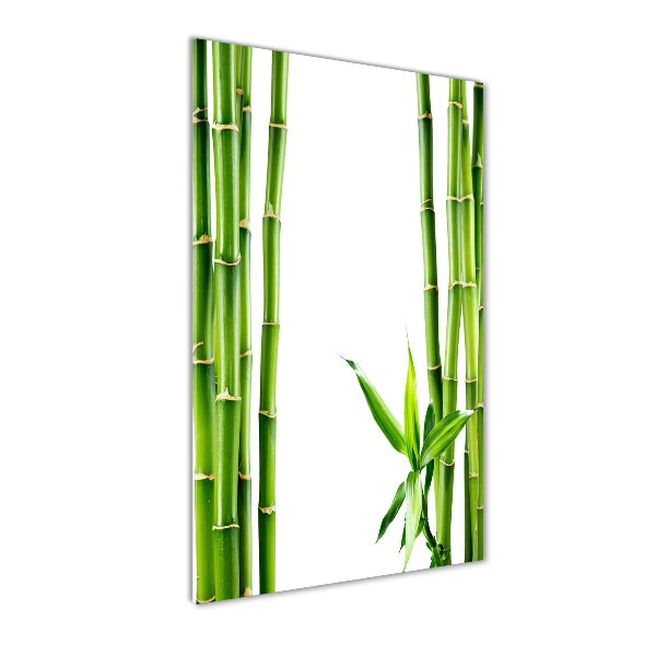 Bamboo