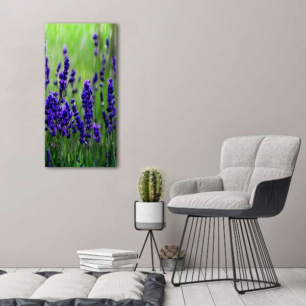 Acrylic wall art Lavender field