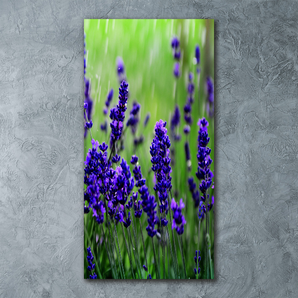 Acrylic wall art Lavender field