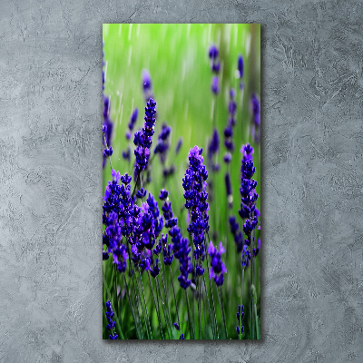 Acrylic wall art Lavender field