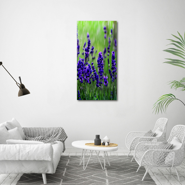 Acrylic wall art Lavender field