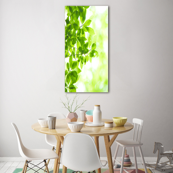 Print on acrylic Green leaves