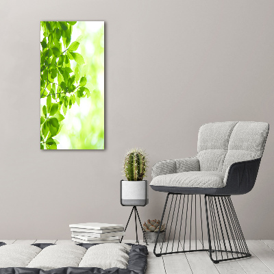 Print on acrylic Green leaves