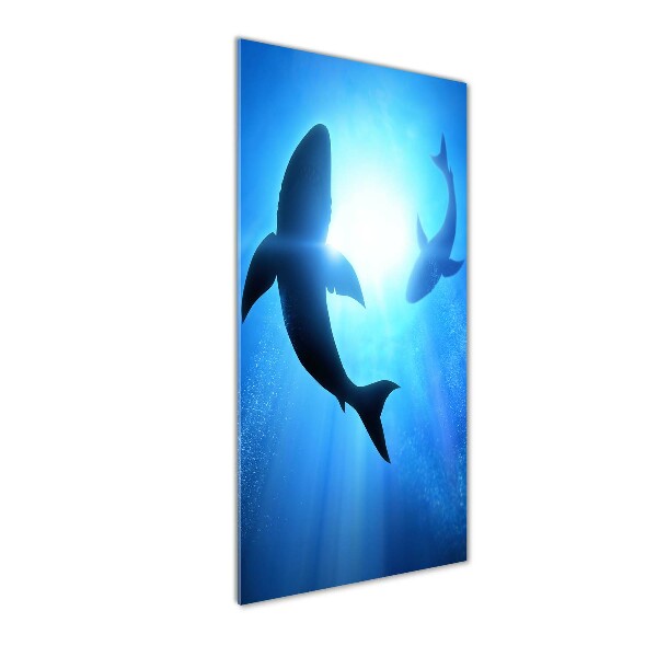 Print on acrylic glass Silhouettes of sharks