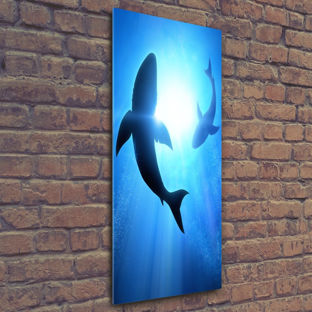 Print on acrylic glass Silhouettes of sharks