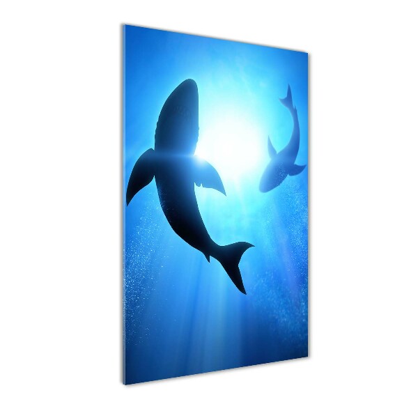 Print on acrylic glass Silhouettes of sharks