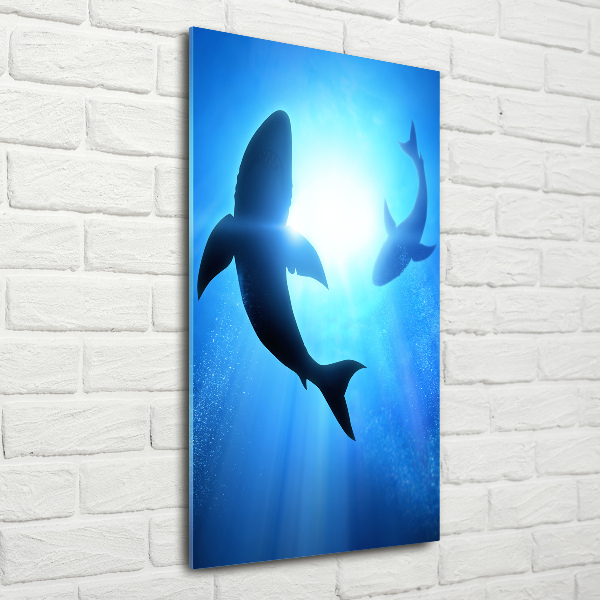 Print on acrylic glass Silhouettes of sharks