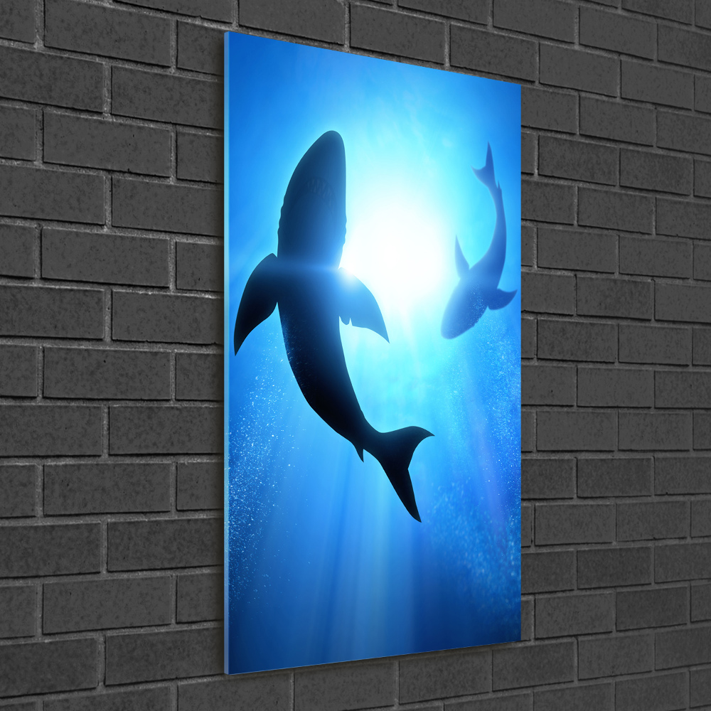 Print on acrylic glass Silhouettes of sharks