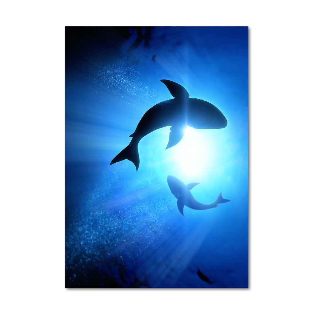 Print on acrylic glass Silhouettes of sharks